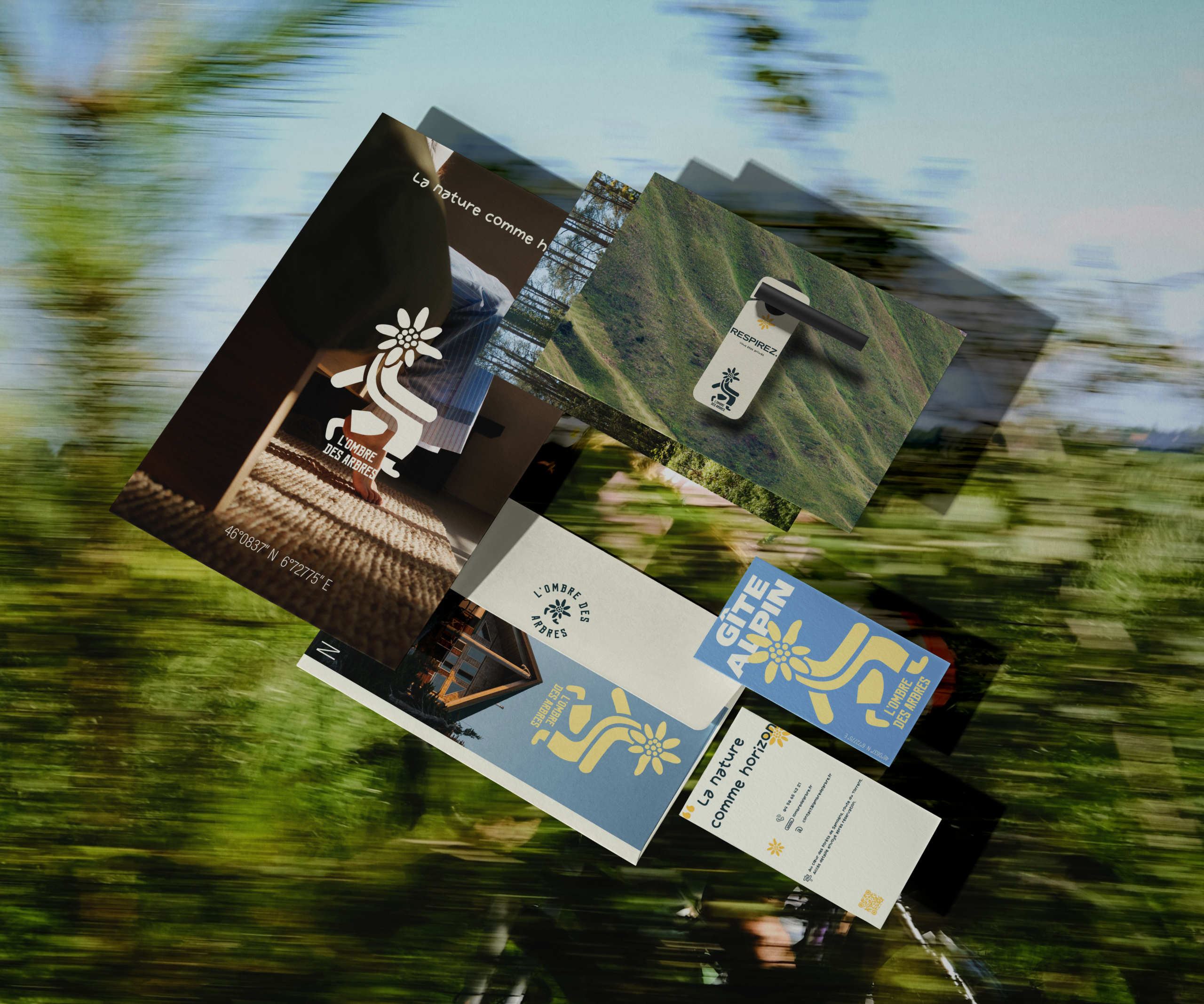 Plusieurs cartes et objets promotionnels d'un gite alpin, avec des logos de montagne et des slogans sur la nature.