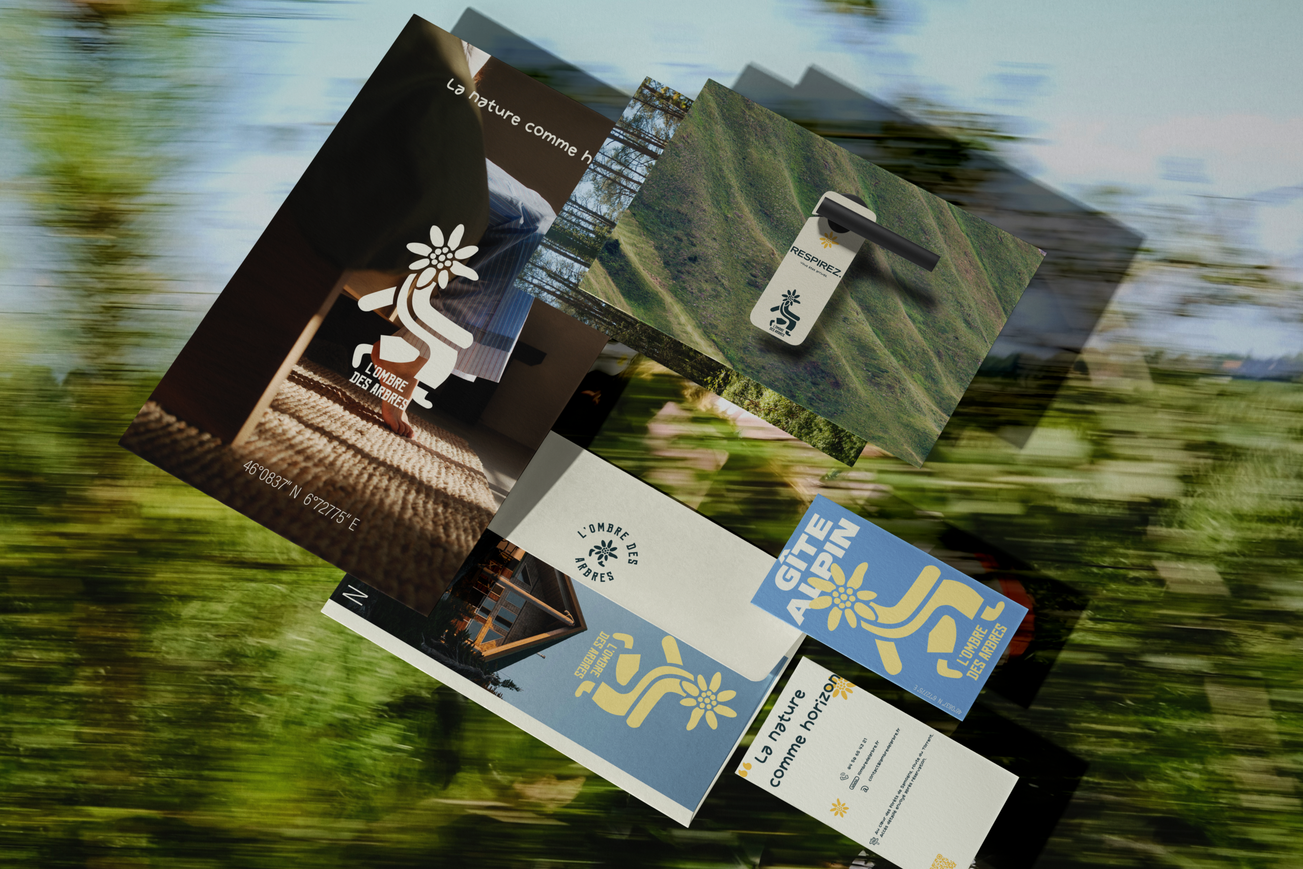 Plusieurs cartes et objets promotionnels d'un gite alpin, avec des logos de montagne et des slogans sur la nature.